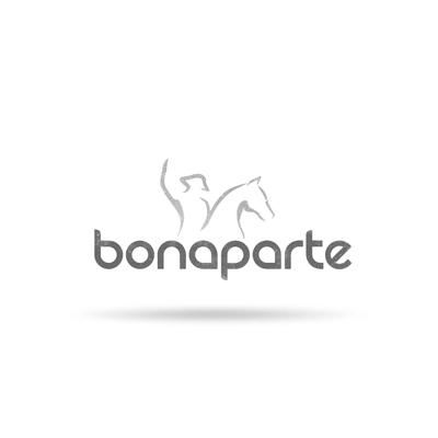 bonaparte-tapijt
